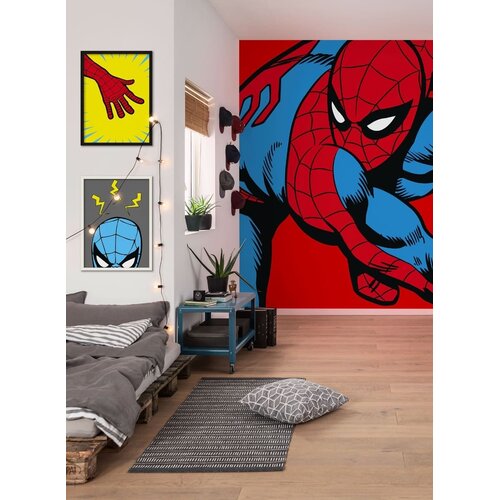 2,5m x 2m