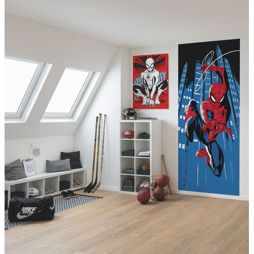 2,5m x 1m