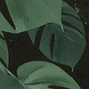 Komar Le Jardin Fotobehang Aurore - LJX6-033