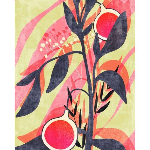 2,5m x 2m
