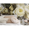 Komar Le Jardin Fotobehang Gentle Bloom - LJX4-064