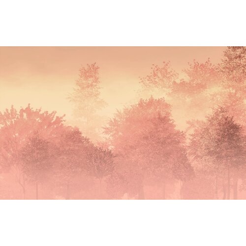 2,5m x 4m