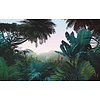 Komar Le Jardin Fotobehang Jungle Morning - LJX8-060 Komar Le Jardin Fotobehang Jungle Morning - LJX8-060