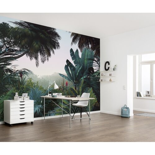 2,5m x 4m 2,5m x 4m