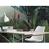 Komar Le Jardin Fotobehang Jungle Morning - LJX8-060 Komar Le Jardin Fotobehang Jungle Morning - LJX8-060