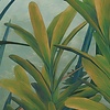 Komar Le Jardin Fotobehang Jungle Morning - LJX8-060 Komar Le Jardin Fotobehang Jungle Morning - LJX8-060