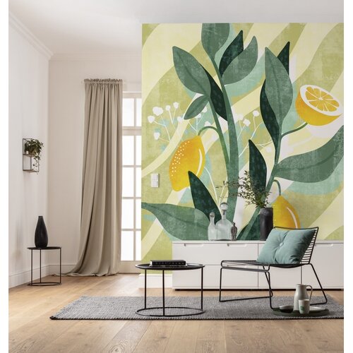 2,5m x 2m