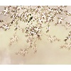 Komar Le Jardin Fotobehang Love Birds - LJX6-027 Komar Le Jardin Fotobehang Love Birds - LJX6-027