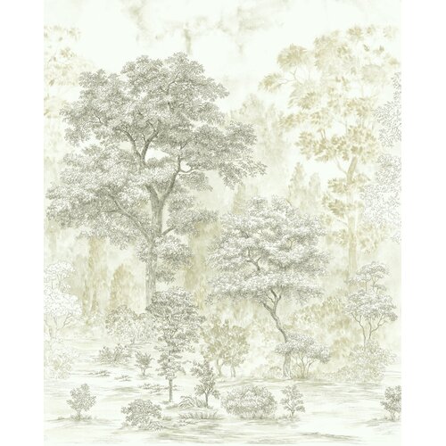 2,5m x 2m 2,5m x 2m