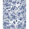 Komar Le Jardin Fotobehang Orchidée - LJX4-022 Komar Le Jardin Fotobehang Orchidée - LJX4-022