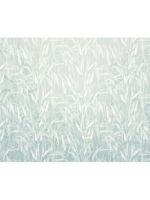 Komar Le Jardin Fotobehang Reed - LJX6-029