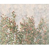 Komar Le Jardin Fotobehang Wall Roses - LJX6-038
