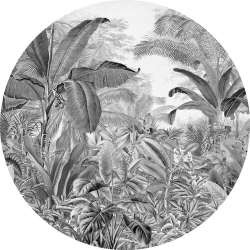 1,25m x 1,25m