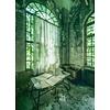 Noordwand Komar Lost Places; Komar Stefan Hefele Fotobehang Stanza Verde - SHX4-145 Noordwand Komar Lost Places; Komar Stefan Hefele Fotobehang Stanza Verde - SHX4-145