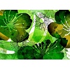 Noordwand Komar Munich Design Fotobehang Aquarell - V7-757 Noordwand Komar Munich Design Fotobehang Aquarell - V7-757