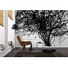 Noordwand Komar Munich Design Fotobehang Curls - V7-758