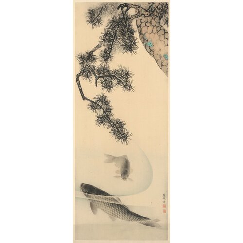 2,5m x 1m