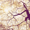 Noordwand Komar Munich Design Fotobehang Sunshine - V5-752