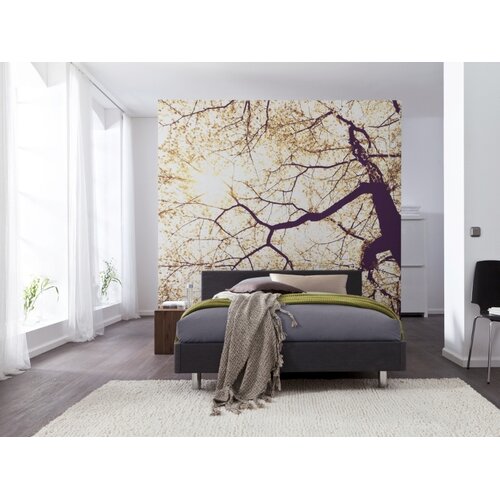 2,5m x 2,5m