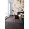 Noordwand Komar Munich Design Fotobehang Sunshine - V5-752