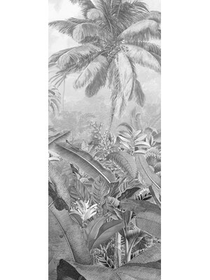 Noordwand Komar Pure Fotobehang Amazonia Black & White - P013-VD1