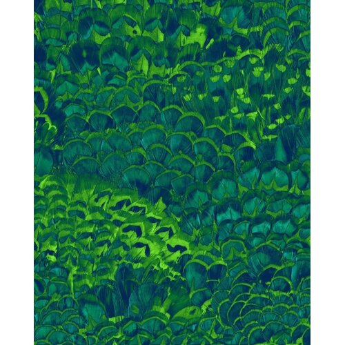 2,5m x 2m