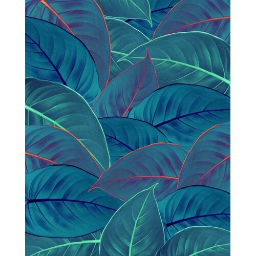 2,5m x 2m