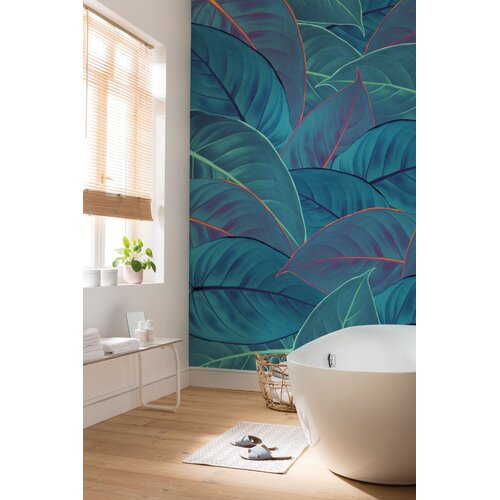 2,5m x 2m