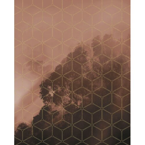 2,5m x 2m