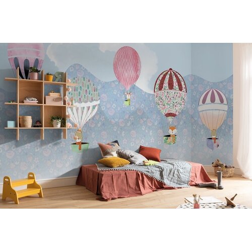 2,5m x 5m