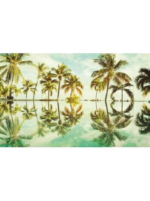 Noordwand Komar Pure Fotobehang Key West - P012-VD4 Noordwand Komar Pure Fotobehang Key West - P012-VD4