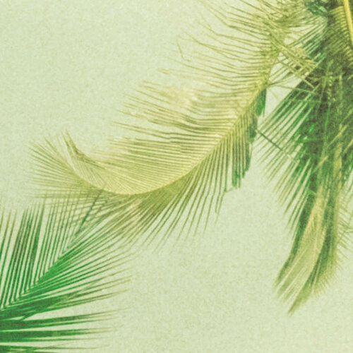 2,5m x 4cm