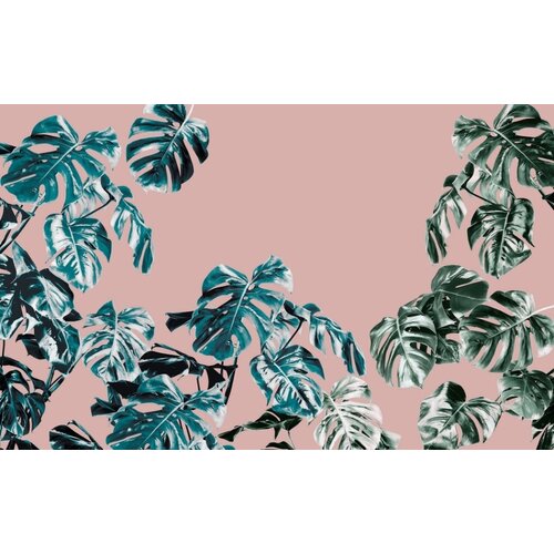 2,5m x 4cm 2,5m x 4cm