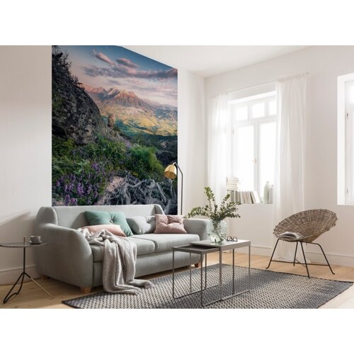 2,5m x 2m