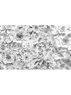 Noordwand Komar Pure Fotobehang Shades Black & White - P962-VD4