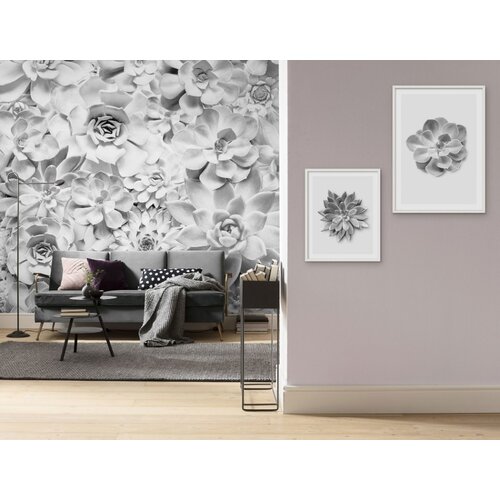 2,5m x 4cm 2,5m x 4cm