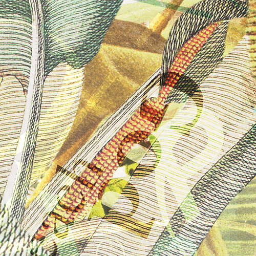 2,5m x 4cm