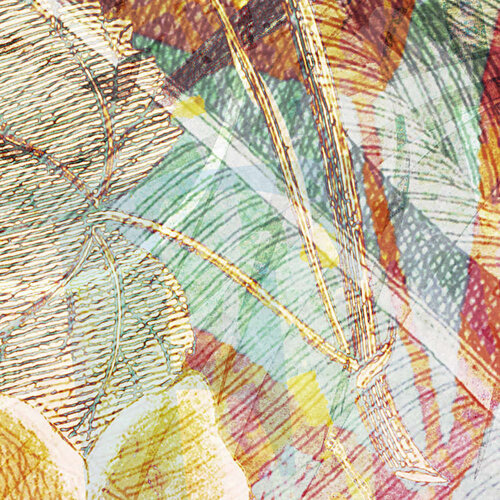 2,5m x 4cm