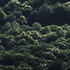 Noordwand Komar Pure Fotobehang The Summit - PSH033-VD3