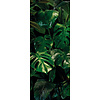 Noordwand Komar Pure Fotobehang Tropical Wall - P333-VD1