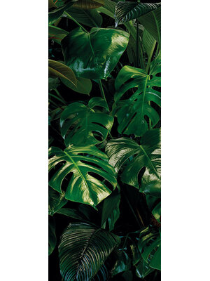 Noordwand Komar Pure Fotobehang Tropical Wall - P333-VD1 Noordwand Komar Pure Fotobehang Tropical Wall - P333-VD1