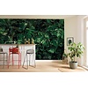 Noordwand Komar Pure Fotobehang Tropical Wall - P333-VD1