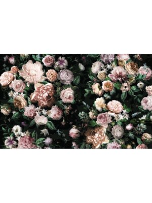 Noordwand Komar Pure Fotobehang Victoria Black - P6035A-VD4 Noordwand Komar Pure Fotobehang Victoria Black - P6035A-VD4