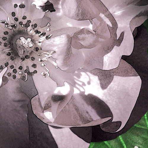 2,5m x 4cm