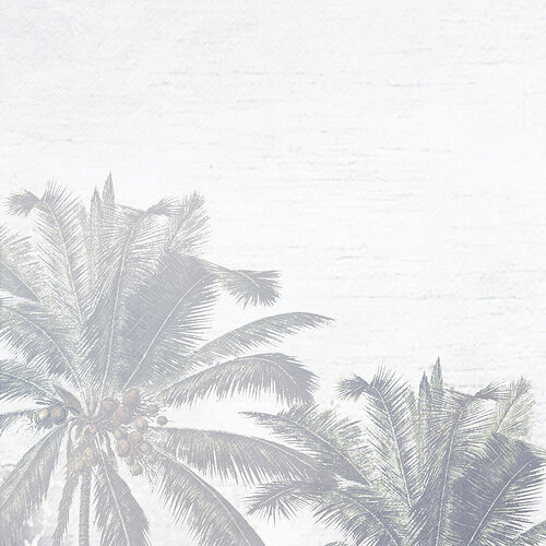 2,8m x 4m 2,8m x 4m