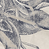 Noordwand Komar Raw Fotobehang Botanical Papers - R4-045