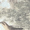 Noordwand Komar Raw Fotobehang Creation - R3-031 Noordwand Komar Raw Fotobehang Creation - R3-031