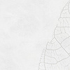 Noordwand Komar Raw Fotobehang Decent Leaf - R2-012 Noordwand Komar Raw Fotobehang Decent Leaf - R2-012