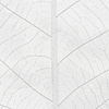 Noordwand Komar Raw Fotobehang Decent Leaf - R2-012 Noordwand Komar Raw Fotobehang Decent Leaf - R2-012