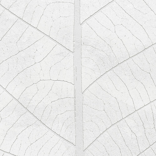 2,8m x 2m 2,8m x 2m